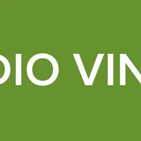 RADIO VINILO