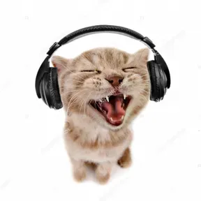 Fish FM