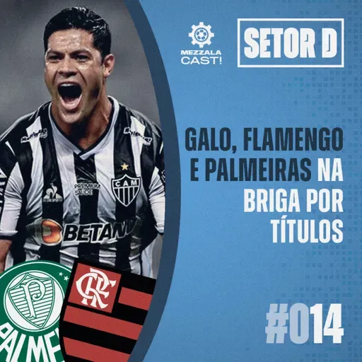 Setor D #014 - Galo, Flamengo e Palmeiras na briga por títulos