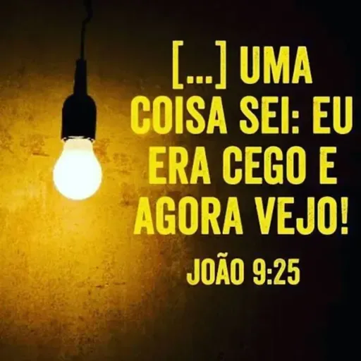 João 9:25