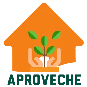 Lecturas y Compañia