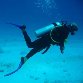 Scuba fm