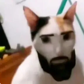 WASAAAA
