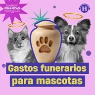 Gastos funerarios para mascotas: Destina un presupuesto para lo inevitable