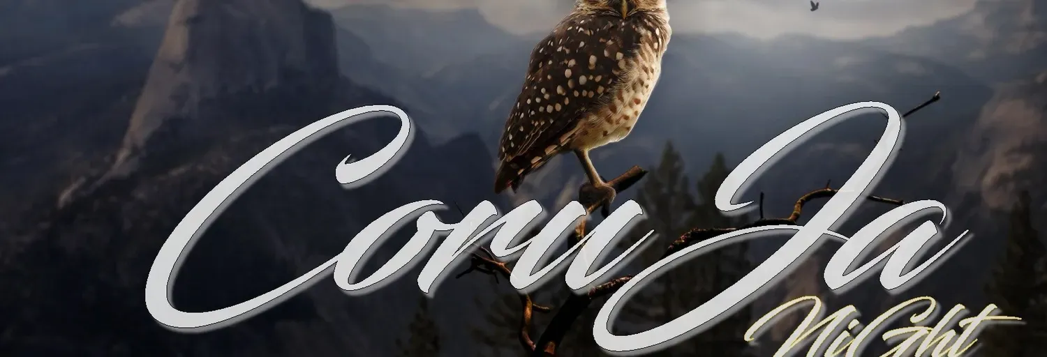 CORUJA NIGHT FMZ
