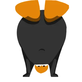 armagan