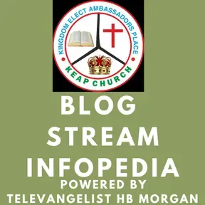Blog Stream Infopedia
