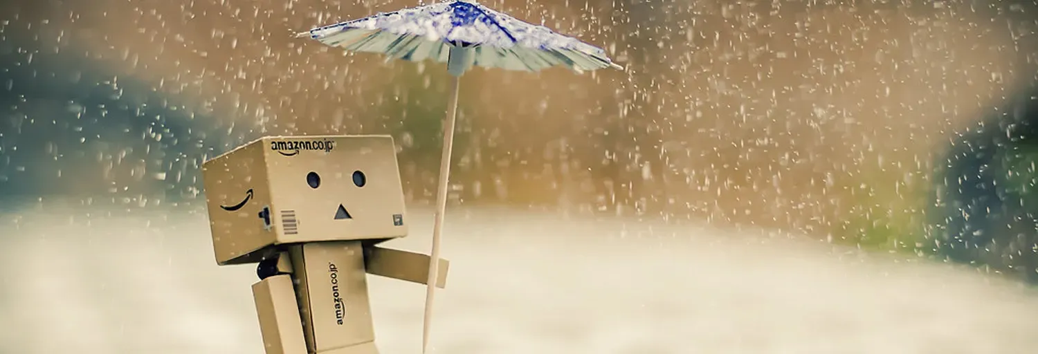 On the rainy days.