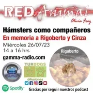 RED ANIMAL CON OLIVIA FREY/HÁMSTERS EN MEMORIA DE RIGOBERTO Y CINZA