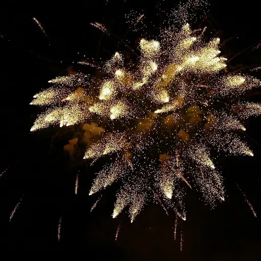 Ja ik jauns gads sāktos kā izrādes pirmais cēliens, kā tas sāktos