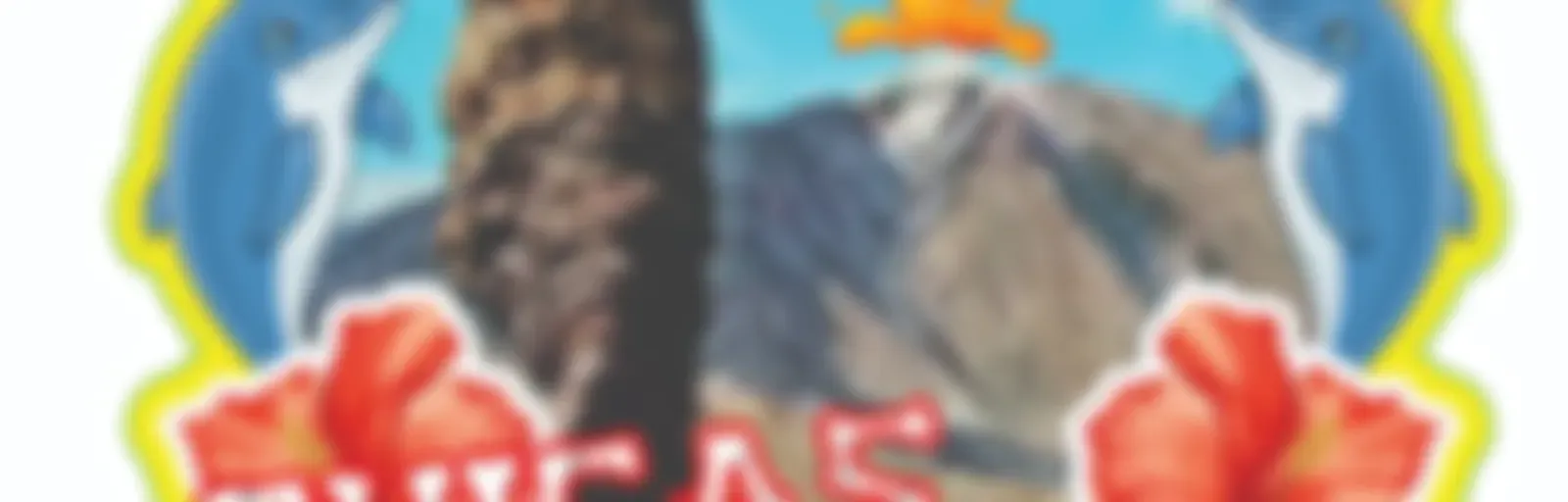 Las Chicas del Volcán