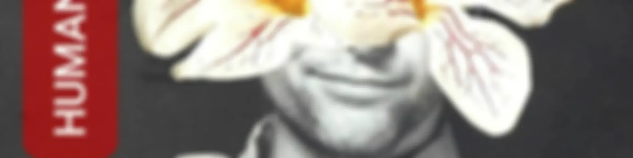 HUMANIZANDO: história crítica, cultura popular, humanidades, educação política e antirracismo.