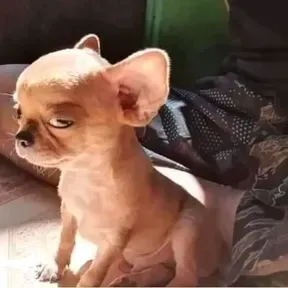 Alejandro