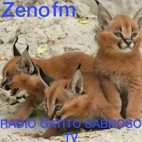 RADIO GATITO SABROSO TV