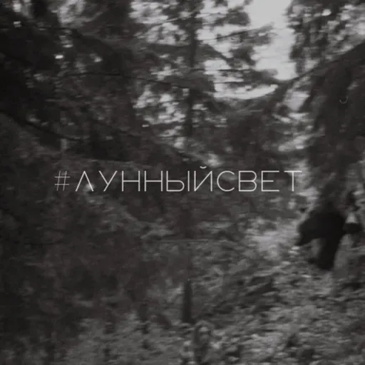 Лунные разговоры на ночь о самом важном и лёгком