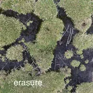 erasure