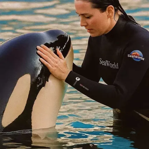 #123 Хүний аминд хүрсэн алуурчин халим "Tilikum"