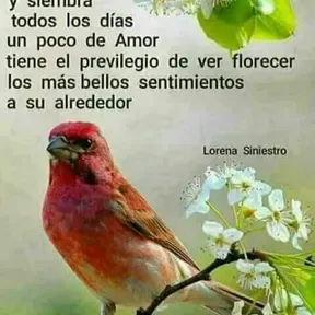 Secreto fm