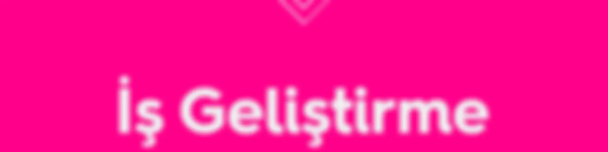 İş Geliştirme & Satış 101