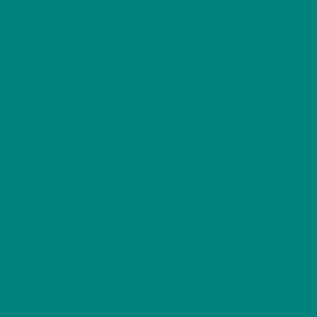 TestFM
