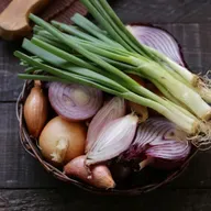 92 Segundo plato | La cebolla