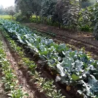 Evangelio del 24 de octubre