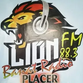 Lion FM 88.3 Banat Radio