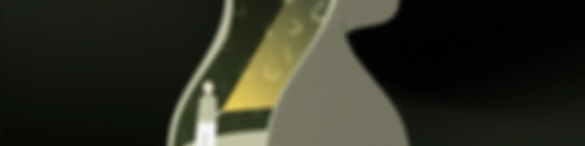 وجدان مع أسامة بن نجيفان