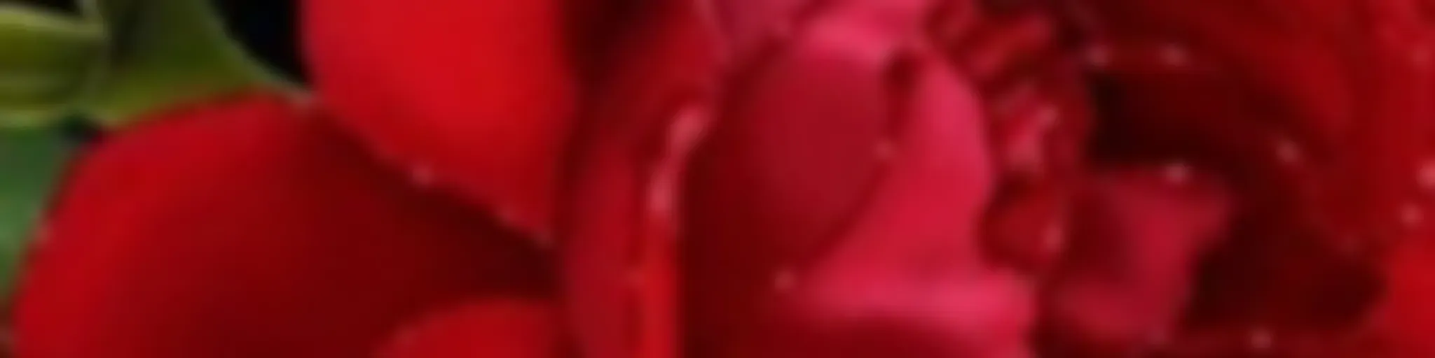 بودكاست التفاؤل