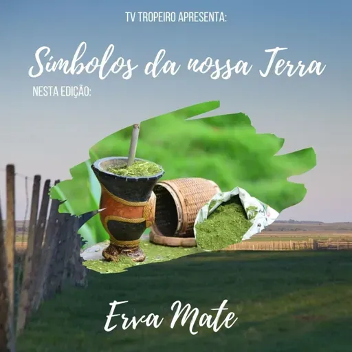 Símbolos de Nossa Terra - Erva-mate