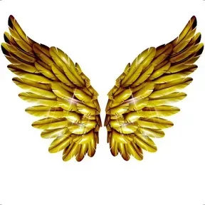 House Of Angel