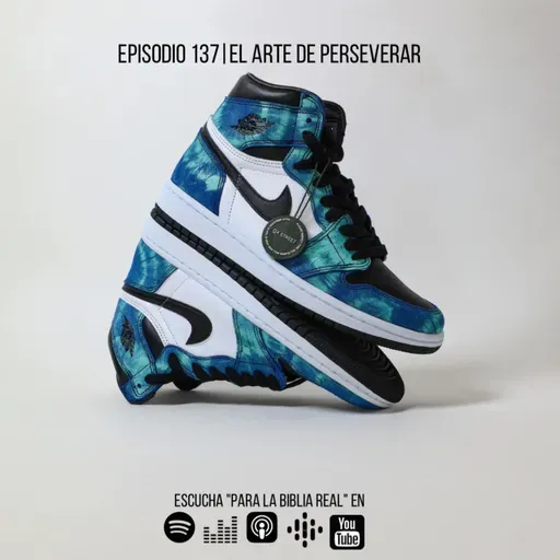 137. El arte de perseverar