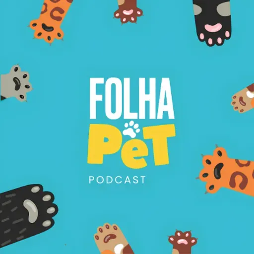 Onde fazer castração gratuita de animais em Pernambuco?