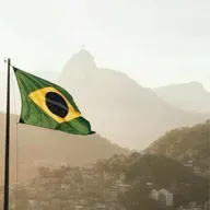 Como salvar o Brasil de seu colapso - Newman LM