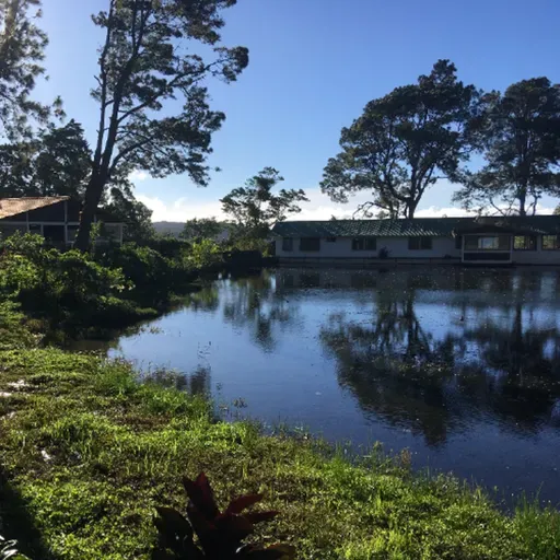 Eco-Resort,Coffee Growers-Selva Negra-Matriarchs Vicky & Mausi