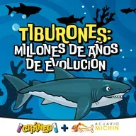 Tiburones: Millones de años de evolución