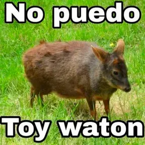Radio Watona