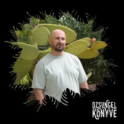 Mentalien (Sunandbass 2025 memories) at Dzsungel Konyve 2025.09.23