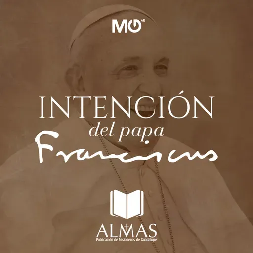 Reflexión de la intención del Papa Francisco: Por la jornada mundial de la juventud | Agosto