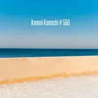 Kemmi Kamachi # 550