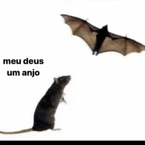 HUNGRIA HIP HOP 1 HORA
