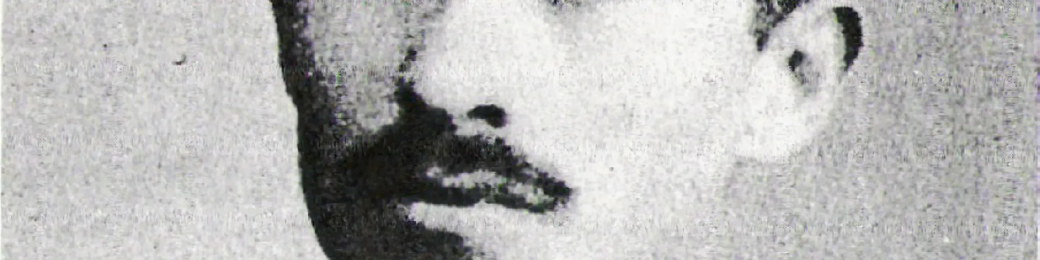 HUATOSKUARINI URUAPANI