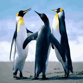 lradiofm