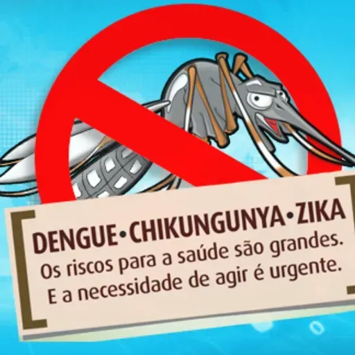 Número de focos do mosquito Aedes aegypti aumenta em São Chico