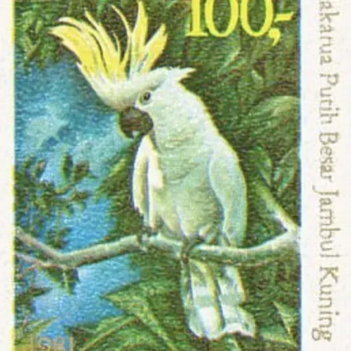 S8 Ep299: DALLAS THE DOG MONITORS COCKATOO SIEGE DURING HEATWAVE Colleague Jeremy Zakis. During a severe heatwave in New South Wales where temperatures reached 115°F (43°C), Dallas the dog has been vigilantly monitoring a flock of destructive cockatoos from his por