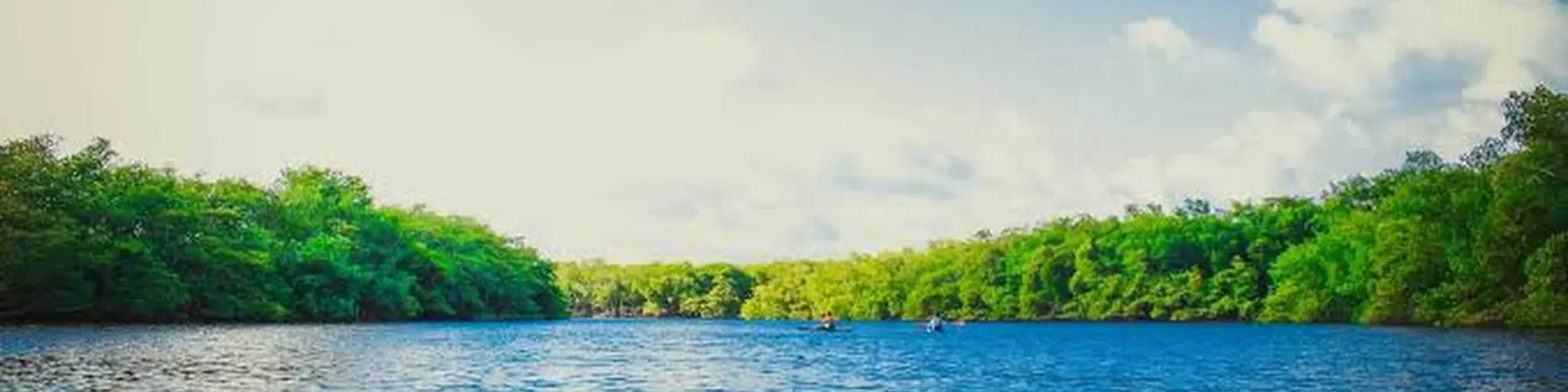 isaisangamam