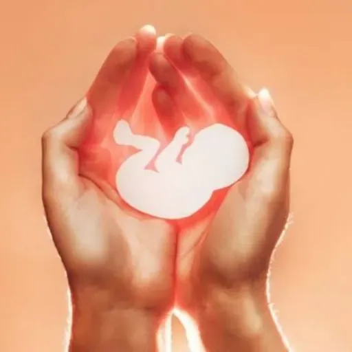 Manifesto pela vida!