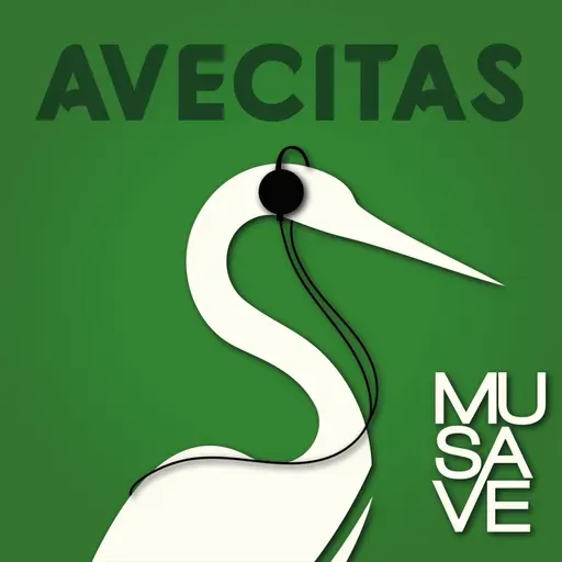 ¿Pueden las aves dejar de cantar algún día?