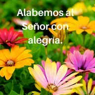 Reflexión del Salmo del Pbro. Emilio Navar Díaz