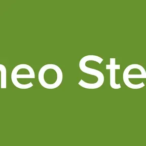 Paneo Stereo